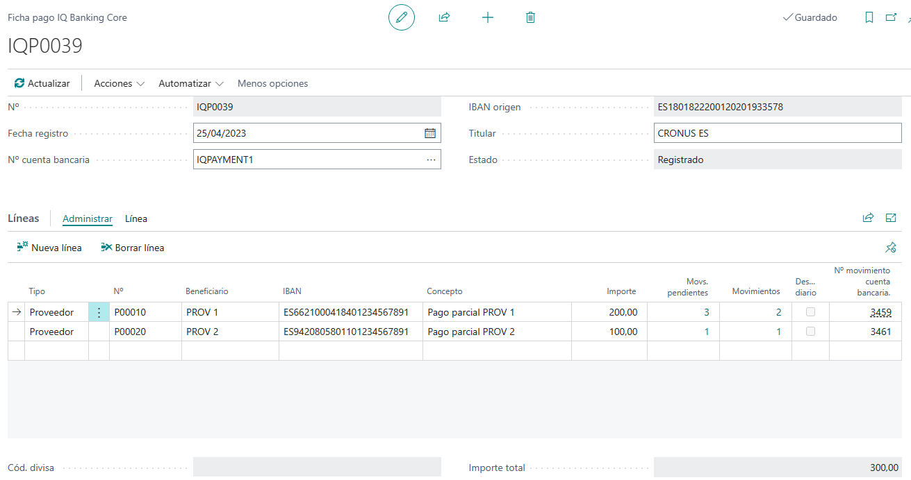 HowToPostPaymentVendorSettlePaymentPosted